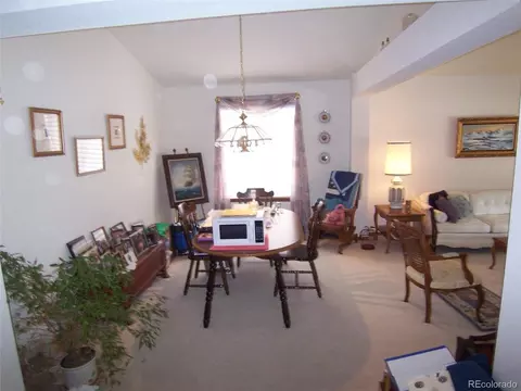 10037 Andrush Ct, Lone Tree, CO 80124 photo 12