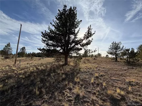 Mesa Ave, Hartsel, CO 80449 photo 5
