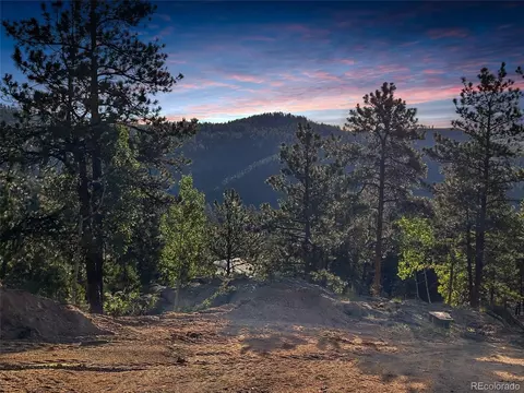4501 County Road 72, Bailey, CO 80421