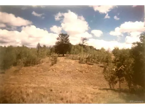 128 Ignacio Way, Como, CO 80456 photo 10