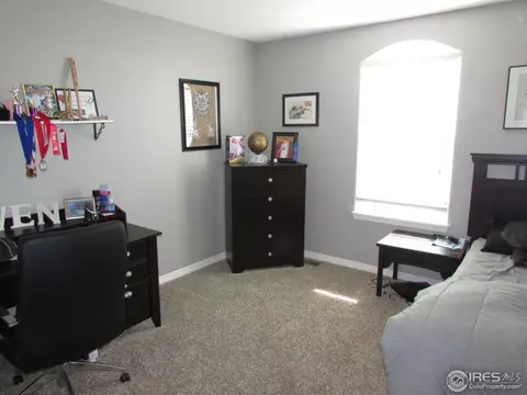 570 Moonglow Dr, Windsor, CO 80550 photo 20