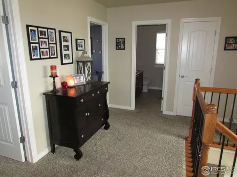 570 Moonglow Dr, Windsor, CO 80550 photo 16