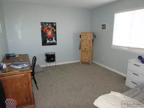 570 Moonglow Dr, Windsor, CO 80550 photo 18