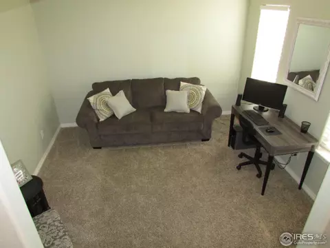 570 Moonglow Dr, Windsor, CO 80550 photo 9
