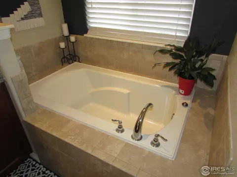 570 Moonglow Dr, Windsor, CO 80550 photo 14