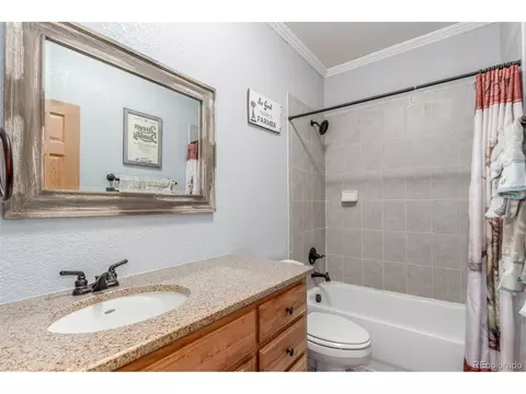 46303 E 106th Ave, Bennett, CO 80102 photo 21