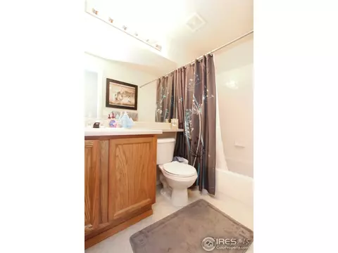 14611 Vine St, Thornton, CO 80602 photo 15