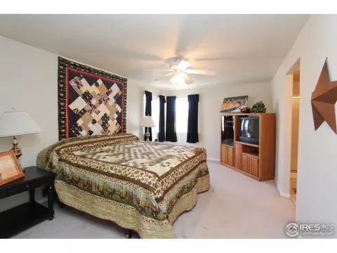 14611 Vine St, Thornton, CO 80602 photo 10