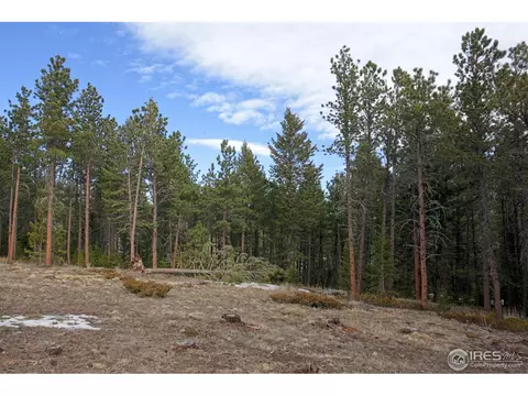 18599 Highway 7, Lyons, CO 80540 photo 31