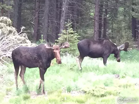 18599 Highway 7, Lyons, CO 80540 photo 39