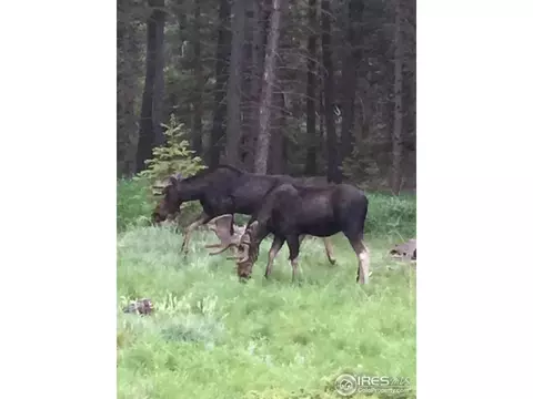 18599 Highway 7, Lyons, CO 80540 photo 38