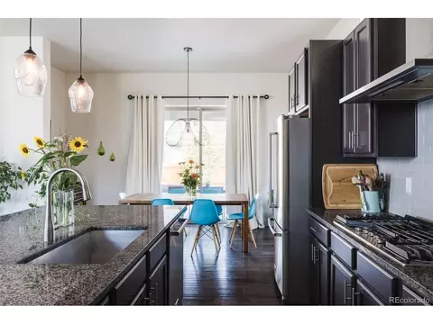 9057 E 60th Ave, Denver, CO 80238 photo 8