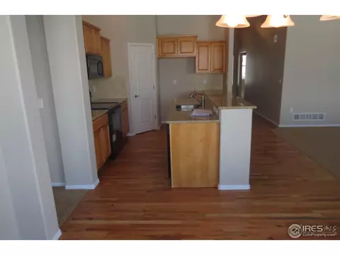 2131 Grain Bin Dr, Windsor, CO 80550 photo 3