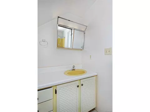 230 Cleveland Ct, Bennett, CO 80102 photo 22