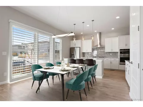 10533 Oncilla Ln, Lone Tree, CO 80124