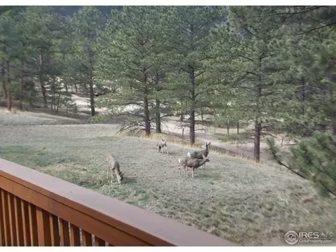 86 Sioux Rd, Lyons, CO 80540 photo 3