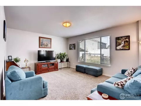 1606 Glacier Ave, Berthoud, CO 80513 photo 5