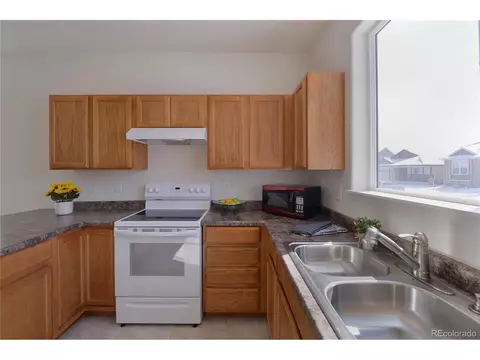 1959 Thunder Cloud Dr, Windsor, CO 80550 photo 9
