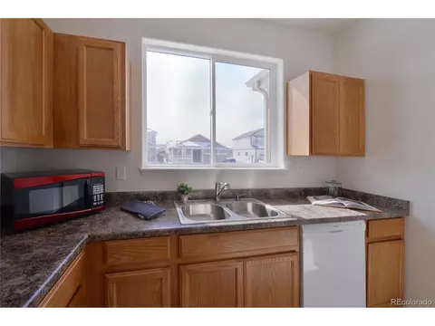 1959 Thunder Cloud Dr, Windsor, CO 80550 photo 10
