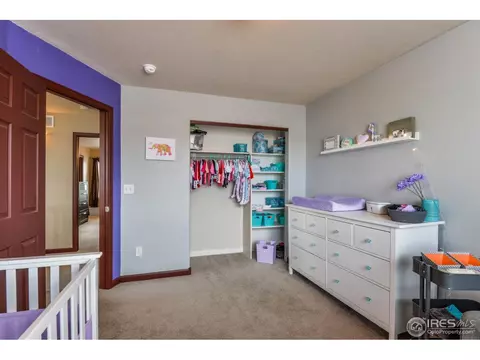 841 Bluegrass Way, Windsor, CO 80550 photo 24