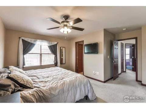 841 Bluegrass Way, Windsor, CO 80550 photo 19