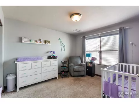 841 Bluegrass Way, Windsor, CO 80550 photo 23