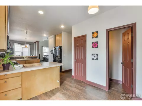 841 Bluegrass Way, Windsor, CO 80550 photo 11