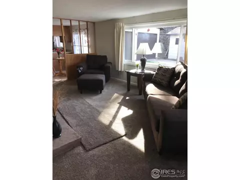 535 Evans St, Lyons, CO 80540 photo 9