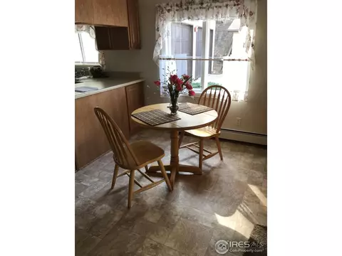535 Evans St, Lyons, CO 80540 photo 13