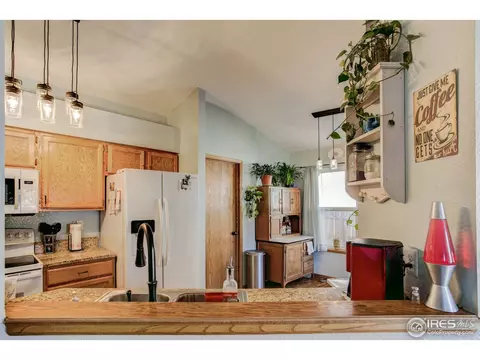 1009 Meadow Ct, Windsor, CO 80550 photo 6
