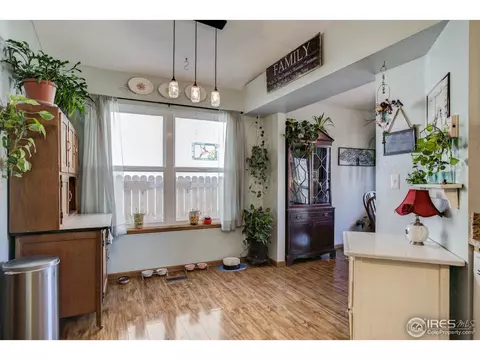 1009 Meadow Ct, Windsor, CO 80550 photo 9