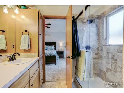 1009 Meadow Ct, Windsor, CO 80550 photo 14