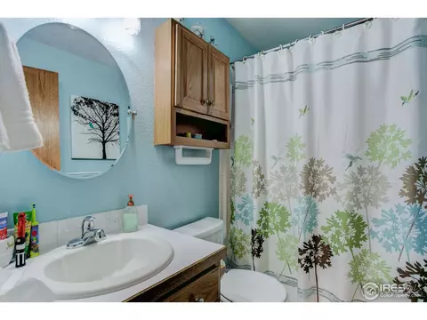 1009 Meadow Ct, Windsor, CO 80550 photo 19
