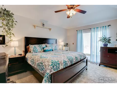 1009 Meadow Ct, Windsor, CO 80550 photo 11