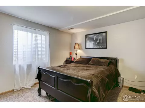 1009 Meadow Ct, Windsor, CO 80550 photo 23