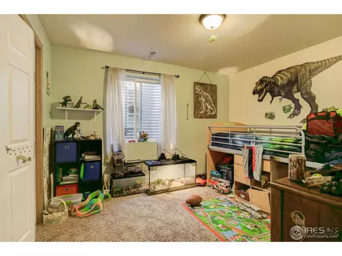 1009 Meadow Ct, Windsor, CO 80550 photo 22