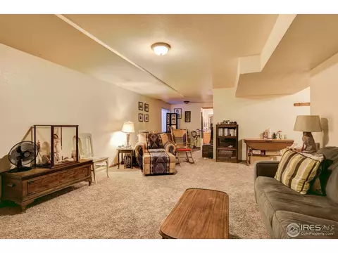 1009 Meadow Ct, Windsor, CO 80550 photo 20