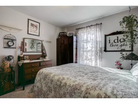 1009 Meadow Ct, Windsor, CO 80550 photo 15