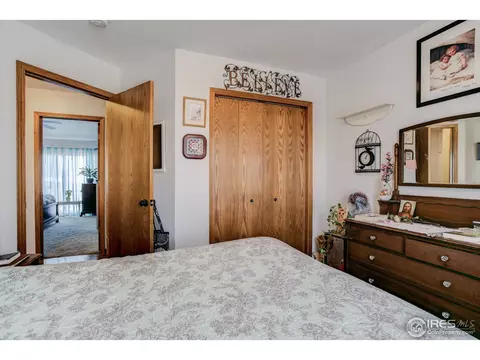 1009 Meadow Ct, Windsor, CO 80550 photo 16