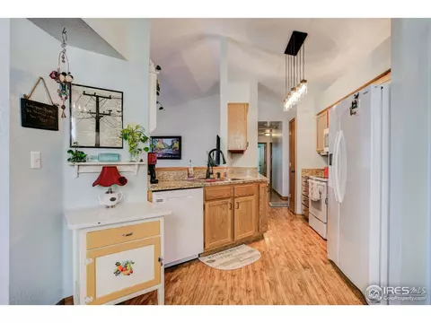 1009 Meadow Ct, Windsor, CO 80550 photo 10