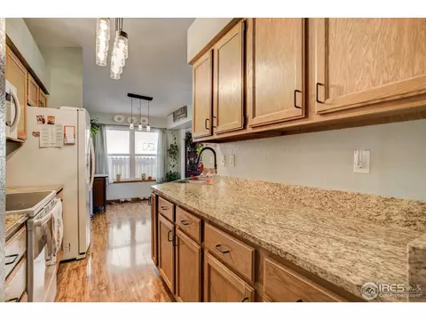1009 Meadow Ct, Windsor, CO 80550 photo 8