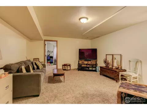 1009 Meadow Ct, Windsor, CO 80550 photo 21