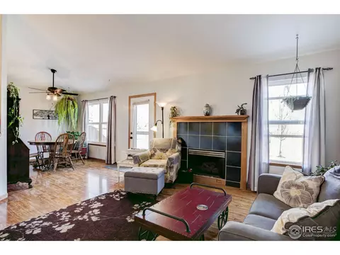 1009 Meadow Ct, Windsor, CO 80550 photo 4