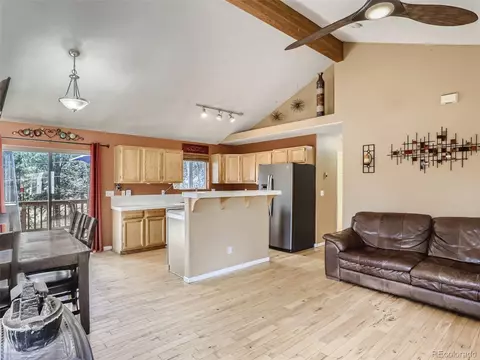33942 Marie Rd, Pine, CO 80470 photo 9
