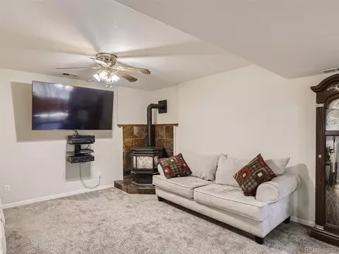 33942 Marie Rd, Pine, CO 80470 photo 23