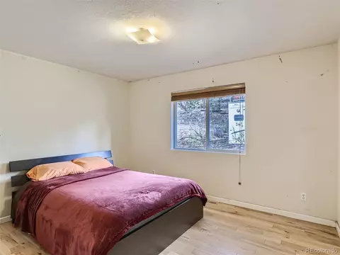 33942 Marie Rd, Pine, CO 80470 photo 15