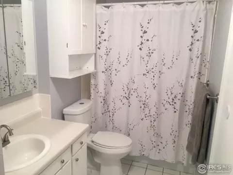 111 Sunflower Dr, Windsor, CO 80550 photo 13