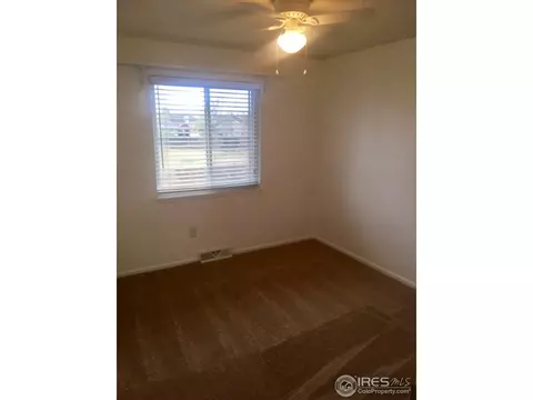 111 Sunflower Dr, Windsor, CO 80550 photo 11