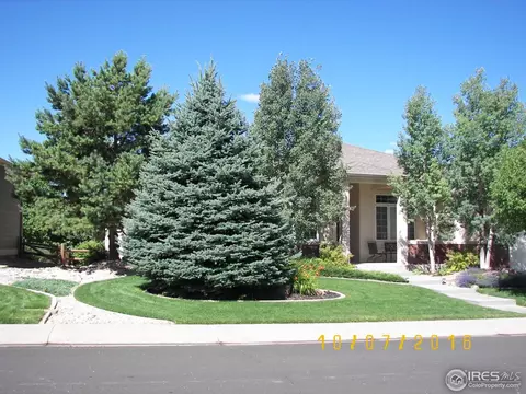 1502 Yonkee Dr, Windsor, CO 80550 photo 5
