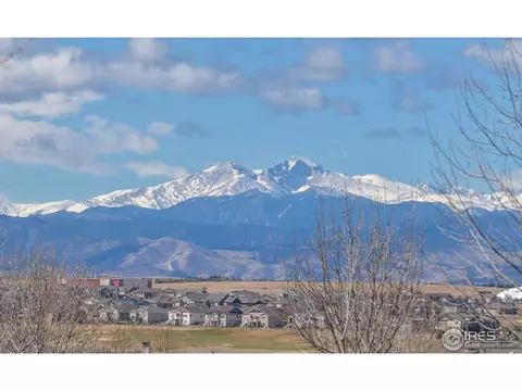 1502 Yonkee Dr, Windsor, CO 80550 photo 40
